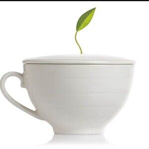 TEA FORTE LIDDED TEA CUP STEEPER, INFUSER